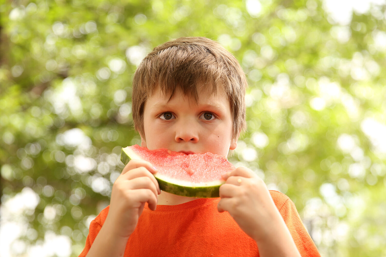 Elliot Brown, 7, refreshes on a piece of watermelon